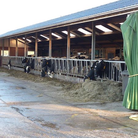 Boerderij "De Verwondering" Goudriaan Экстерьер фото